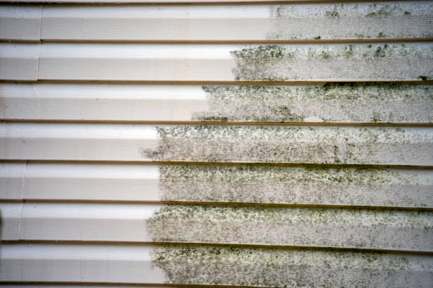 Best Property Management Cleanouts  in Plano, KY